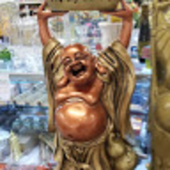 Meet your Posher, Avery - Picture 1 of 1